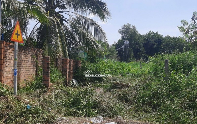 Bán đất mặt tiền huyện Đức Linh  Nguyễn Tri Phương có 100m2 ODT